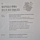 함춘약국 | 13주차 이란성 쌍둥이 서초 함춘 융모막 검사 + 1차 2차 검사결과까지