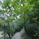 소망어린이집 근처 이미지