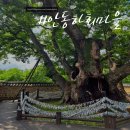 안동시견인차량보관소 | (안동 풍천면) 9월 여행 안동 가볼만한 곳 역사여행 겸 놀러가기 좋은 &#39;안동하회마을&#39; (+ 하회네컷...