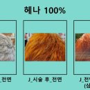 하라힐즈 이미지