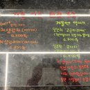 내촌애견 이미지