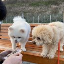 로이스PC방 | 나의 세상이 다채롭고 넓어진 건에 대하여(2024 모음.zip)