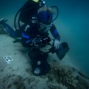 해로수중 이미지