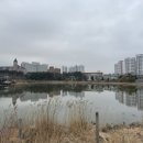 봉포레이크글램핑&오토캠핑장 이미지