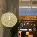 상남동297 이미지