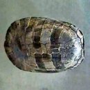 (주)거북 이미지