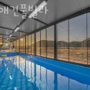 코지애견풀빌라
