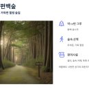 상관편백숲 쉼터 이미지