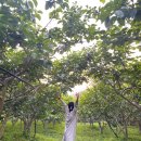 곡성산림마트 | [곡성 숙소] :: 또랑가펜션 솔직후기