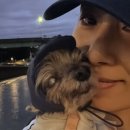 김서형 카카오 검색결과