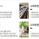 건축사사무소 혜림 이미지