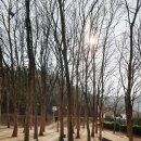 남통동 족구장 이미지