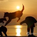 희망찬공인중개사사무소 이미지