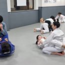팀다이노주짓수체육관