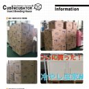 대구곤충마트 이미지