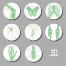 딱딱한 원인으로 생긴 통증 [장기동정형외과] 이미지