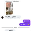 가을겨울 밀린일상