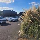 동광카써비스 | 제주 서귀포 안덕면 대형카페 무로이 내돈내산 솔직후기