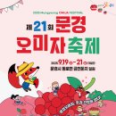 문경오미자