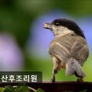 유재산후조리원 이미지