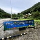 별빛캠핑장 | 솔직후기] 고양이 좋아한다면 가평/춘천 글램핑, 카라반 여기 추천 | 제이드 별빛 카라반 캠핑장 후기