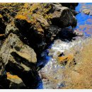 산수유피는마을 이미지