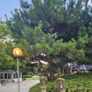 한옥촌신선마을 이미지