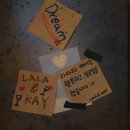 라라와 케이 이미지