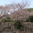 소라초등학교 이미지