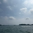 태안호스릴-72 | 쭈꾸미낚시의계절