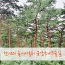 싱여동럭셔리여행사 - 강남구 테헤란로 327 | 싱여동럭셔리여행사