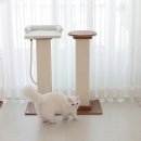 (주)파우제 이미지