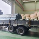 디오클린 이미지