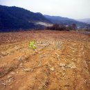 신구리농장 Daum카페