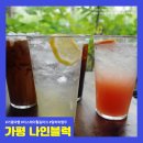 [가평 가볼만한곳 더스테이힐링파크] 나인블럭 카페, 알파와 앵무 후기