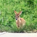 동욱농장 이미지