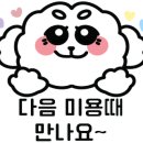 521펫살롱 이미지