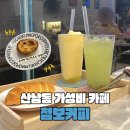 청주 산남동 가성비 카페 점보커피 방문 후기 (에그타르트 맛집!)