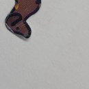 서울우리내과의원 이미지