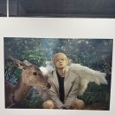 연준 | [전시] <VOGUE SALON: frame – 연준 by 페트라 콜린스> 전시후기(6/16)