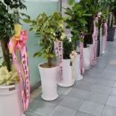 서울꽃화분