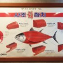 유연참치 이미지