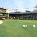 개스타하우스 이미지