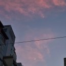 예쁜머리이쁜손톱 이미지