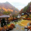 정선통나무펜션 이미지