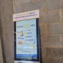 지지파이브
