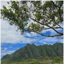 명여행사 | 광주여행사추천 팜투어 광주지사에서 준비하는 완벽한 광주신혼여행사 상담 후기