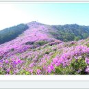 효문2로R 이미지