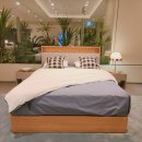 세븐일레븐노원제일점 B | 노원구 침대 매트리스 쇼룸 에이스침대에이스스퀘어노원점 체험 방문 후기