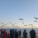 중국 대련 여행, 꼭 가봐야 할 성해광장 후기